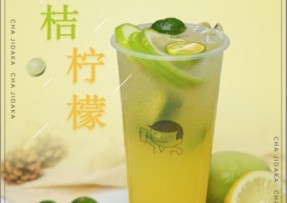 开云体育下载  ：金桔柠檬